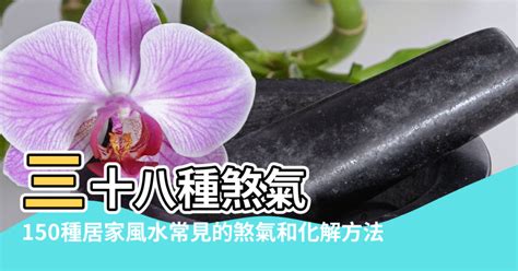 風水煞氣|【化解煞氣】居家風水煞氣全攻略！120招化解煞氣秘方，助你逢。